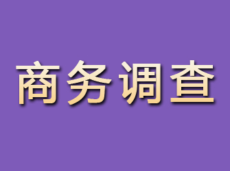 信丰商务调查